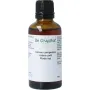 Cruydhof Ulmus campestre rubra / rode iep tinctuur