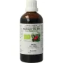 Cruydhof Rosa canina / rozebottel tinctuur bio