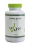 Vitiv Ginkgo biloba