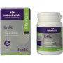 Mannavital Kyolic platinum