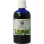Nagel Ribes nigrum tinctuur