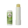 Volatile Aloe vera lipbalm stick