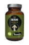 Hanoju Reishi extract bio