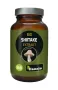 Hanoju Shiitake extract bio