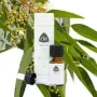 CHI Eucalyptus citroen etherische olie