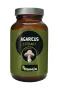 Hanoju Agaricus abm paddenstoel extract