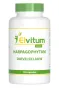 Elvitum Duivelsklauw harpagophytum