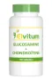 Elvitum Glucosamine chondroitine