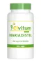 Elvitum Mariadistel