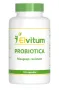 Elvitum Probiotica