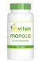 Elvitum Propolis 3% flavonoiden