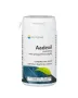 Springfield Aadexil