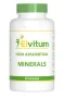 Elvitum High absorption minerals