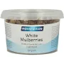 Nova Vitae Mulberry bessen (moerbeien)