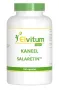 Elvitum Kaneel met salaretin