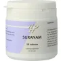 Holisan Suranam