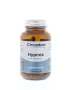 Circadian Hypnos