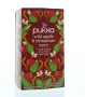Pukka Wild apple & cinnamon bio