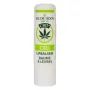 Jacob Hooy Lipbalsem CBD