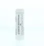 Homeoden Heel Echinacea angustifolia D6