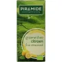 Piramide Groene thee met citroen eko bio