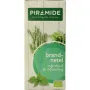 Piramide Brandnetel thee eko bio