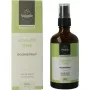 Volatile Roomspray summertime