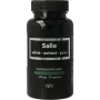 Apb Holland Salie extract puur 500mg