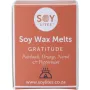Soylites Soja wax melts gratitude