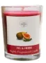 Green Tree Geurkaars figs & herbs votives