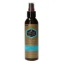 Hask Argan oil repair 5-in-1 leave in