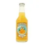 Naturfrisk Orangeade bio