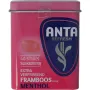 Anta Refresh framboos