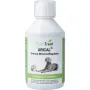 PhytoTreat Urical