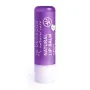Benecos Natural lipbalm cassis in box