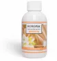 Horomia Wasparfum vento doriente