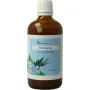 Balance Pharma Ginkgo biloba tincturen