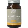 Mattisson Scutellaria 2500mg met vit B C curcumine vegan
