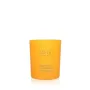 Joik Organics Geurkaars grapefruit/mandarijn vegan