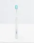 Bluem Toothbrush day to day