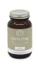 Mattisson Quercetine met zink en vitamine C Phytosome techno