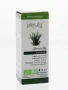 Physalis Citronella bio