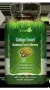 Irwin Naturals Ginkgo smart