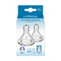 Dr Brown's Speen standaard hals fles fase 4 pap