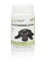 Phytotreat Glucosamine extra hond