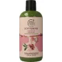Petal Fresh Shampoo rose & honeysuckle