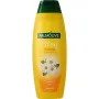 Palmolive Shampoo elke dag