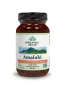 Organic India Amalaki bio