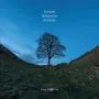 A3 Boeken De aarde de hemel en de bomen