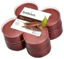 Bolsius True Scents maxilicht old wood